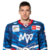 Borna Rendulic